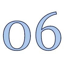 06